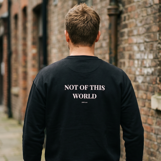Person wearing a black hoodie with 'Not of This World' text on the back, standing in an alleyway.